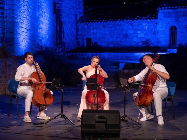 tree cellos (4)